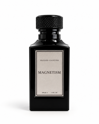 MAGNETISM
